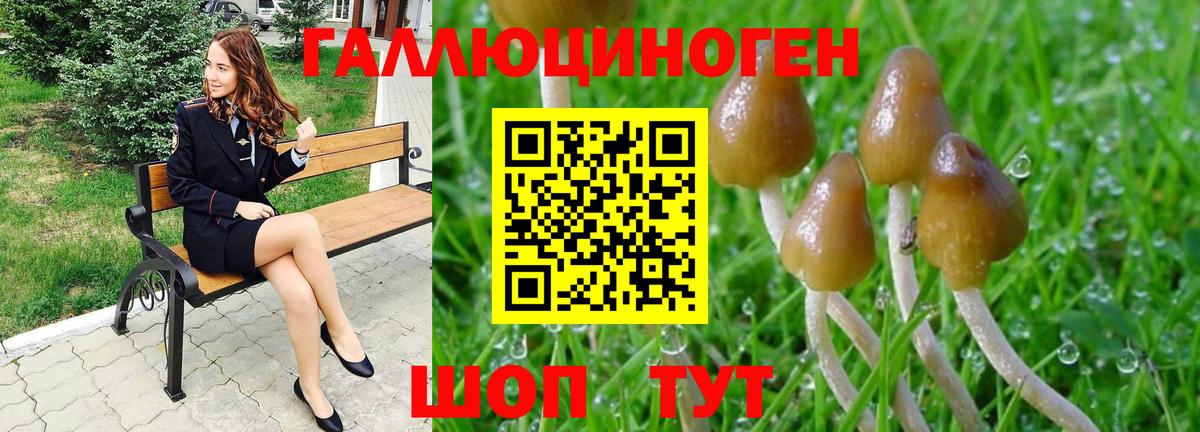 Псилоцибиновые грибы GOLDEN TEACHER  Псилоцибиновые грибы Psilocybine cubensis  Рубцовск  Вход с VPN 